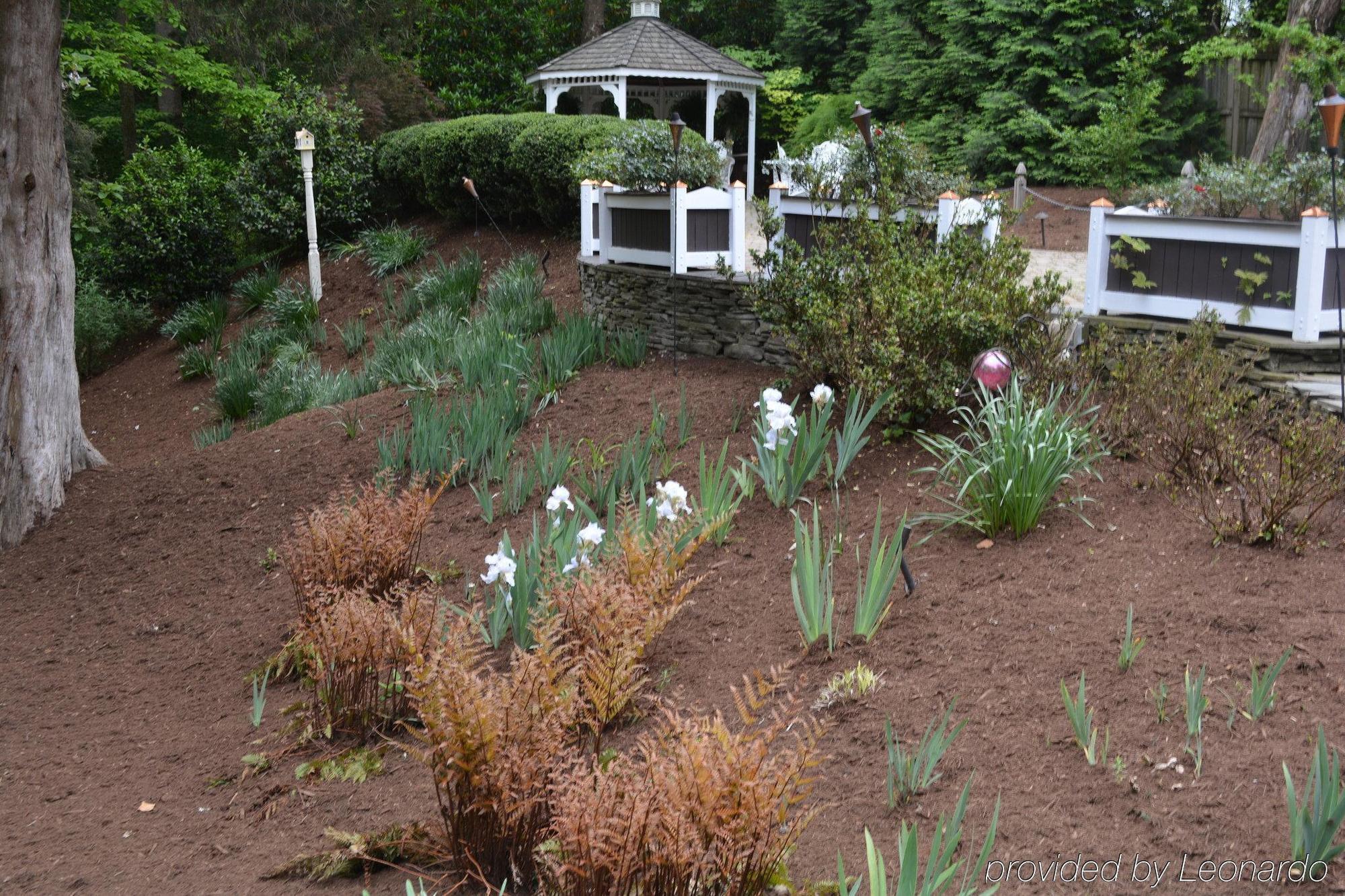 Cedars Of Williamsburg Bed & Breakfast Екстер'єр фото